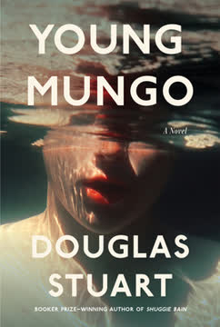 Young Mungo Summary