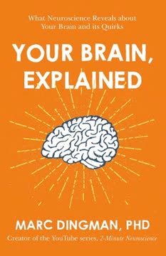 Your Brain, Explained Summary