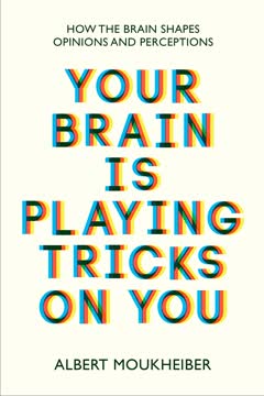 Your Brain Is Playing Tricks On You Summary