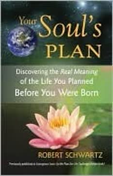 Your Soul's Plan Summary