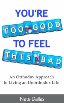You&#039;re Too Good to Feel This Bad Summary