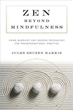 Zen beyond Mindfulness Summary
